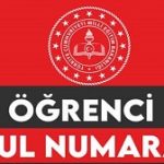 Öğrenci Okul Numarası