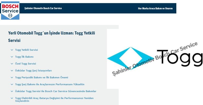 Togg Servisi